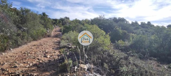 56502m² Land in Sao Bras de Alportel, Portugal No. 86045 20