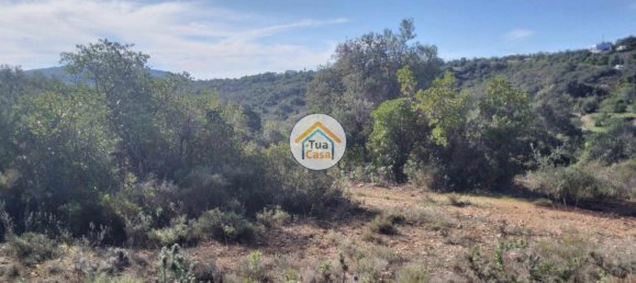 56502m² Land in Sao Bras de Alportel, Portugal No. 86045 6