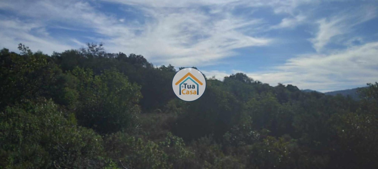 56502m² Land in Sao Bras de Alportel, Portugal No. 86045