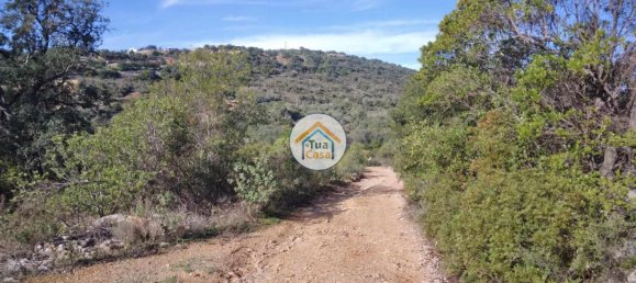 56502m² Land in Sao Bras de Alportel, Portugal No. 86045 25