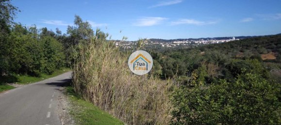 56502m² Land in Sao Bras de Alportel, Portugal No. 86045 13