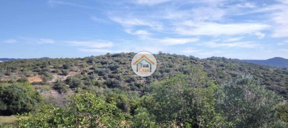 56502m² Land in Sao Bras de Alportel, Portugal No. 86045 8