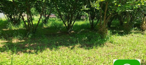 1800m² Land in Baronissi, Italy No. 348315 2