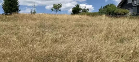 Land in Siegen-Wittgenstein, Germany No. 123267 3