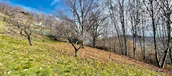 8 rooms Villa in Castelnuovo Nigra, Italy No. 18006 19