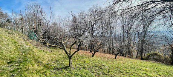 8 rooms Villa in Castelnuovo Nigra, Italy No. 18006 13