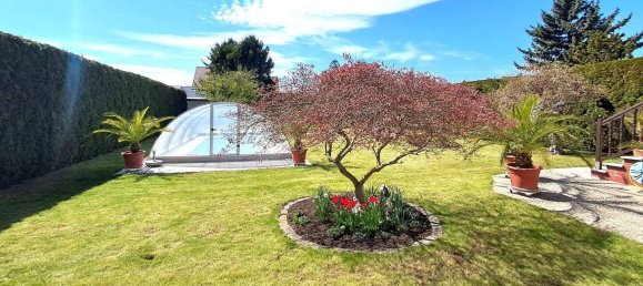 6 rooms House in Ebreichsdorf, Austria No. 248943 15