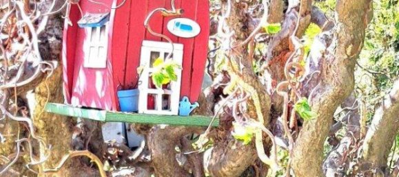 6 rooms House in Ebreichsdorf, Austria No. 248943 20