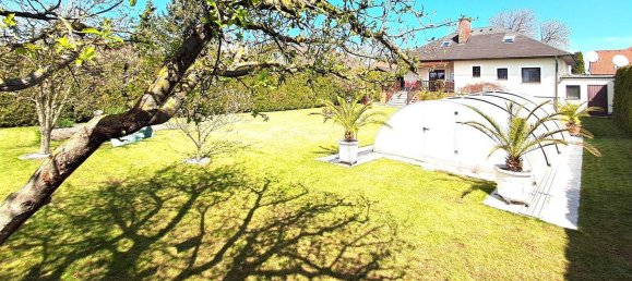 6 rooms House in Ebreichsdorf, Austria No. 248943 19