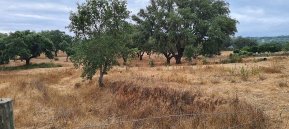 300000m² Land in Landeira, Portugal No. 118913 9