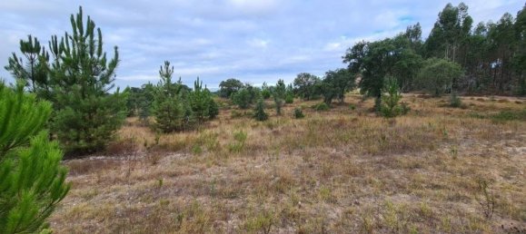 300000m² Land in Landeira, Portugal No. 118913 13