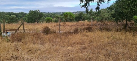 300000m² Land in Landeira, Portugal No. 118913 16