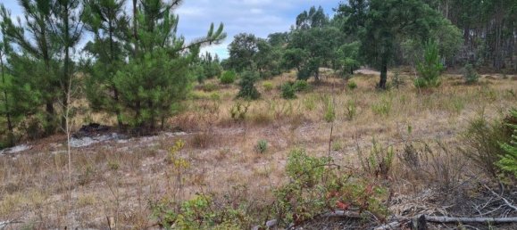 300000m² Land in Landeira, Portugal No. 118913 15