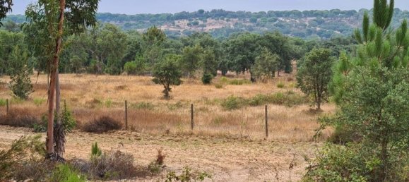 300000m² Land in Landeira, Portugal No. 118913 3