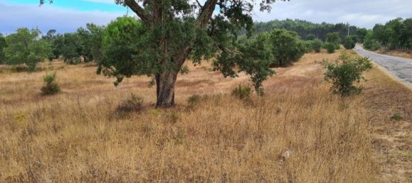 300000m² Land in Landeira, Portugal No. 118913 19