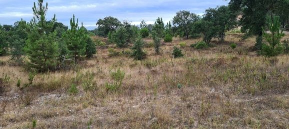 300000m² Land in Landeira, Portugal No. 118913 12