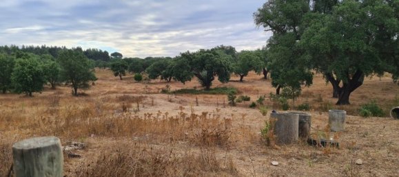 300000m² Land in Landeira, Portugal No. 118913 10