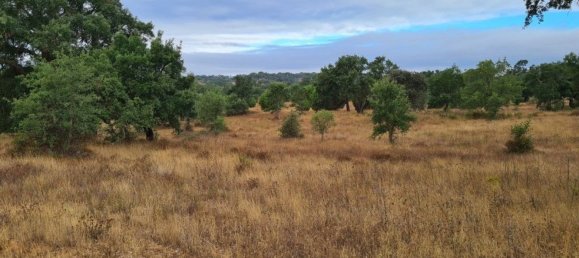 300000m² Land in Landeira, Portugal No. 118913 17