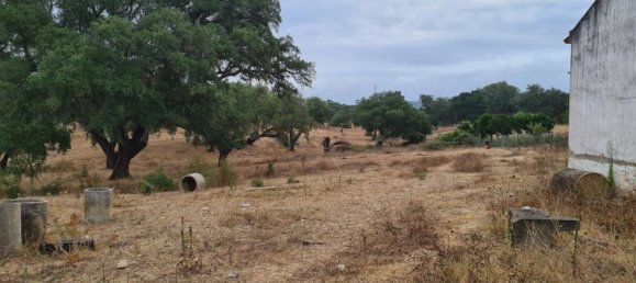 300000m² Land in Landeira, Portugal No. 118913 6