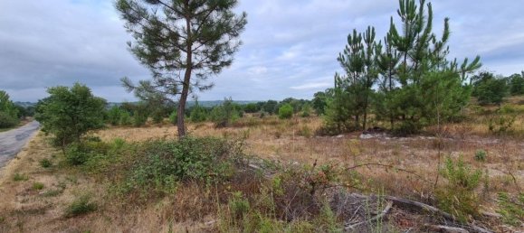 300000m² Land in Landeira, Portugal No. 118913 14