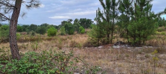 300000m² Land in Landeira, Portugal No. 118913 11