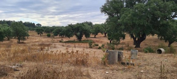 300000m² Land in Landeira, Portugal No. 118913 7