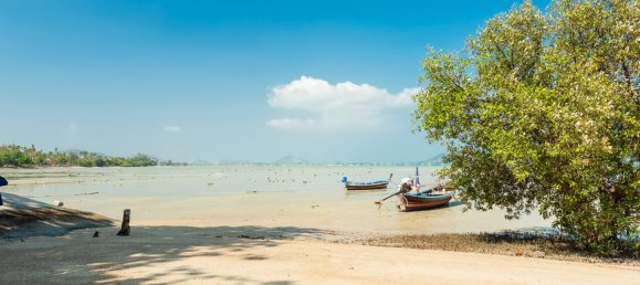 4 bedrooms Villa in Rawai, Thailand No. 5521 4