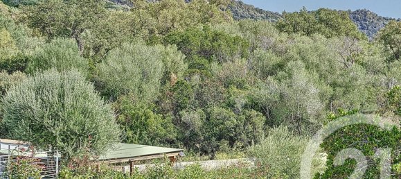 2 chambres Villa à Zonza, France No. 235811 4