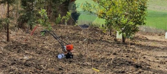 Grundstück in Erice, Italy 3500m², Nr. 56277 2