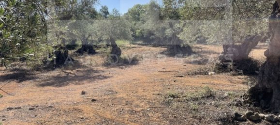 Villa T3 em Rethymno, Greece N.º 385 11