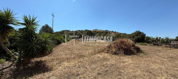 398m² Building in Bauladu, Italy No. 286180 21