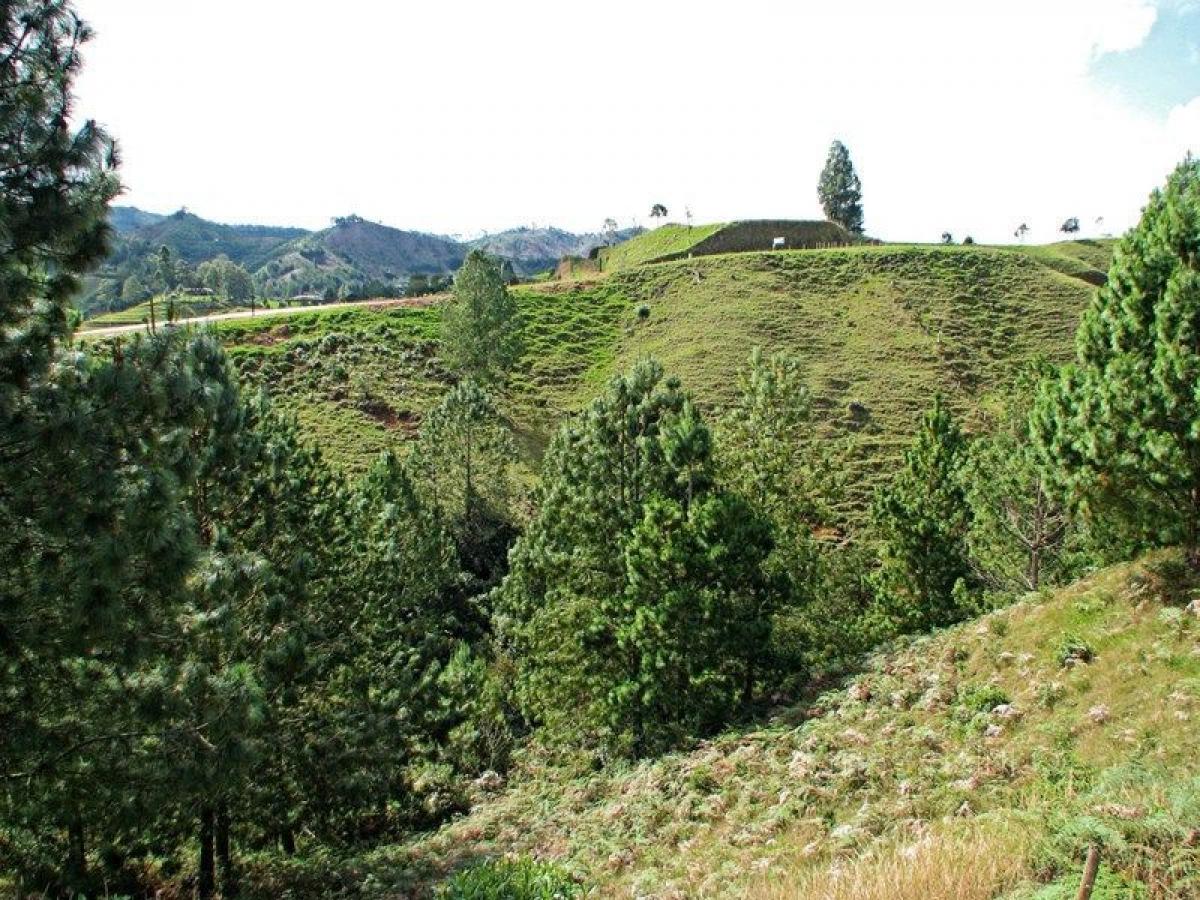 Grundstück in Antioquia, Colombia, Nr. 588