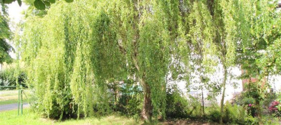 Terrain à Holzminden, Germany 979m² No. 342878 7