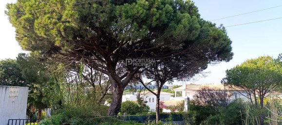 Grundstück in Almancil, Portugal 369m², Nr. 132621 9