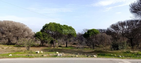 Grundstück in Almancil, Portugal 369m², Nr. 132621 14