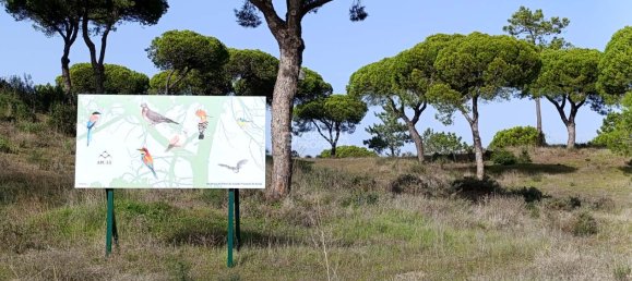 Grundstück in Almancil, Portugal 369m², Nr. 132621 24