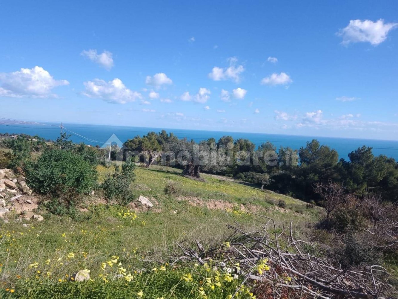 14200m² Land in Montegiordano, Italy No. 343581