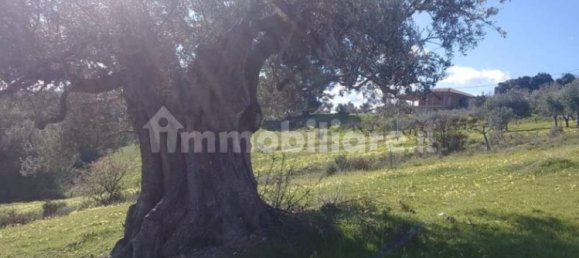 14200m² Land in Montegiordano, Italy No. 343581 2