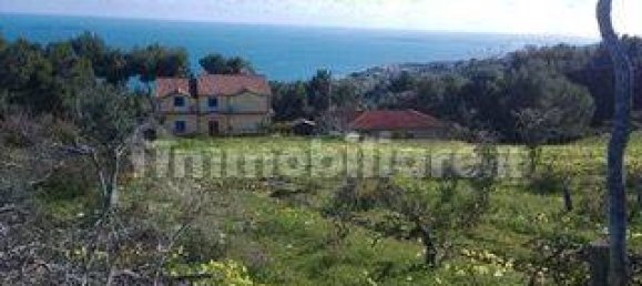 14200m² Land in Montegiordano, Italy No. 343581 3