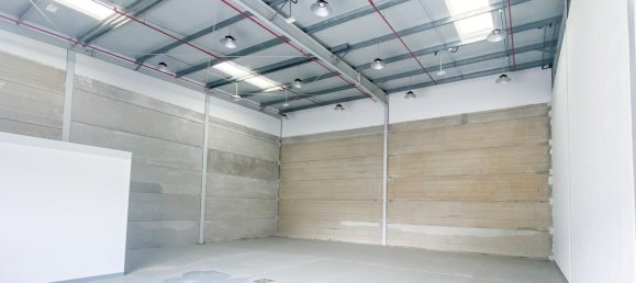 400m² Warehouse in RAK FTZ, UAE No. 26215 2
