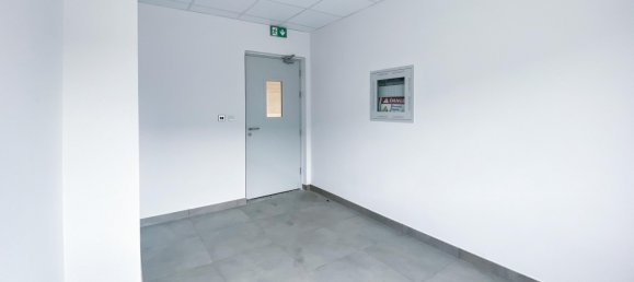 400m² Warehouse in RAK FTZ, UAE No. 26215 7