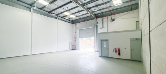 400m² Warehouse in RAK FTZ, UAE No. 26215 3