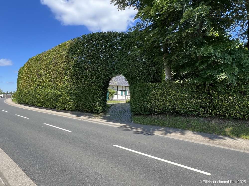 8 rooms Farm in Aachen, Germany No. 125939