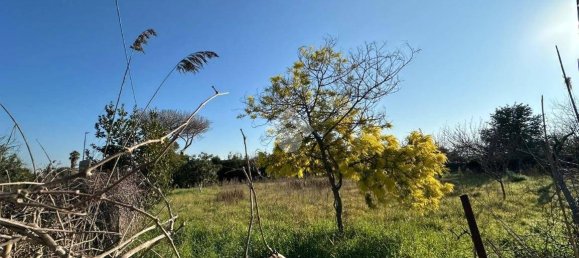  قطعة أرض في Rome, Italy 1060متر مربع رقم 79139 7