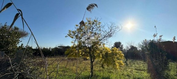  قطعة أرض في Rome, Italy 1060متر مربع رقم 79139 6