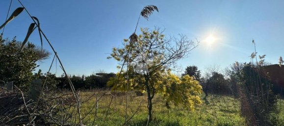  قطعة أرض في Rome, Italy 1060متر مربع رقم 79139 8