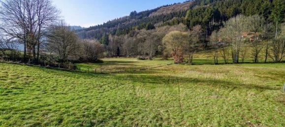 Café/restaurante en Bergstrase, Germany No. 365555 6