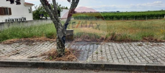 610m² Land in Lardosa, Portugal No. 72926 2