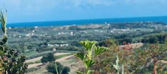 2 bedrooms House in Torino di Sangro, Italy No. 80055 37