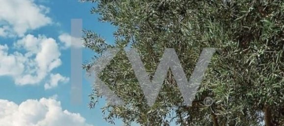 8 Schlafzimmer Haus in Beja, Portugal, Nr. 41707 18